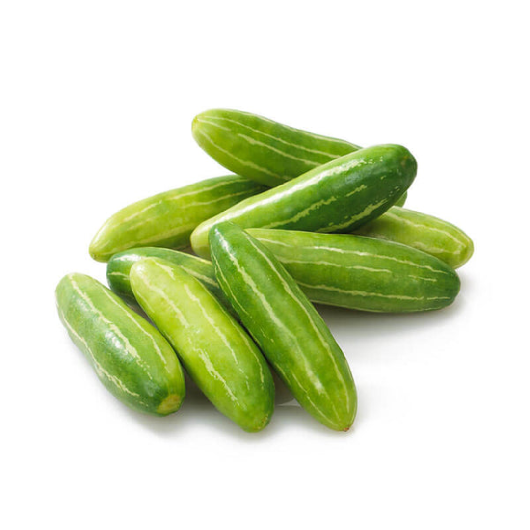 FRESH TINDORA